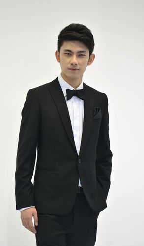 施总